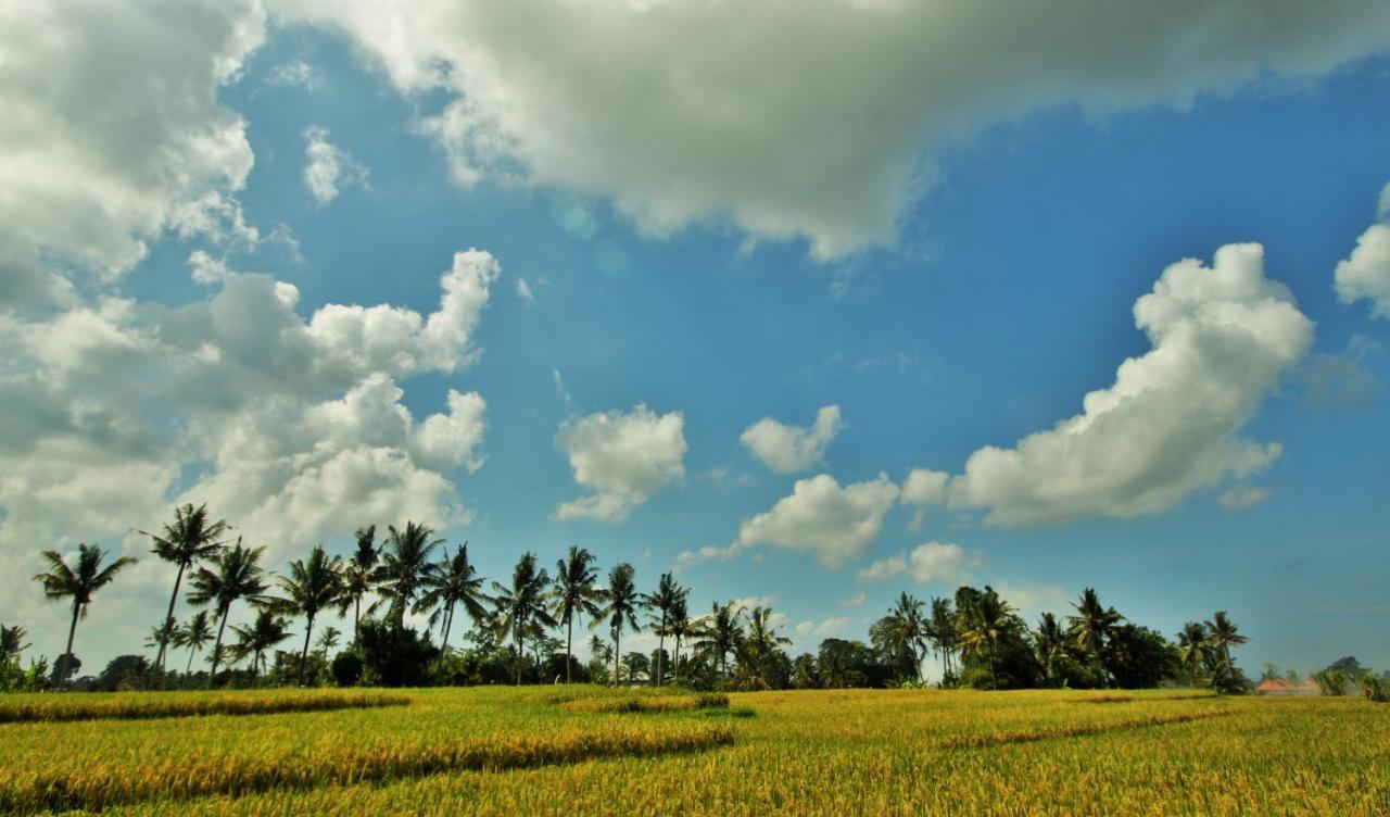 Griya Private Villa Ubud Esterno foto