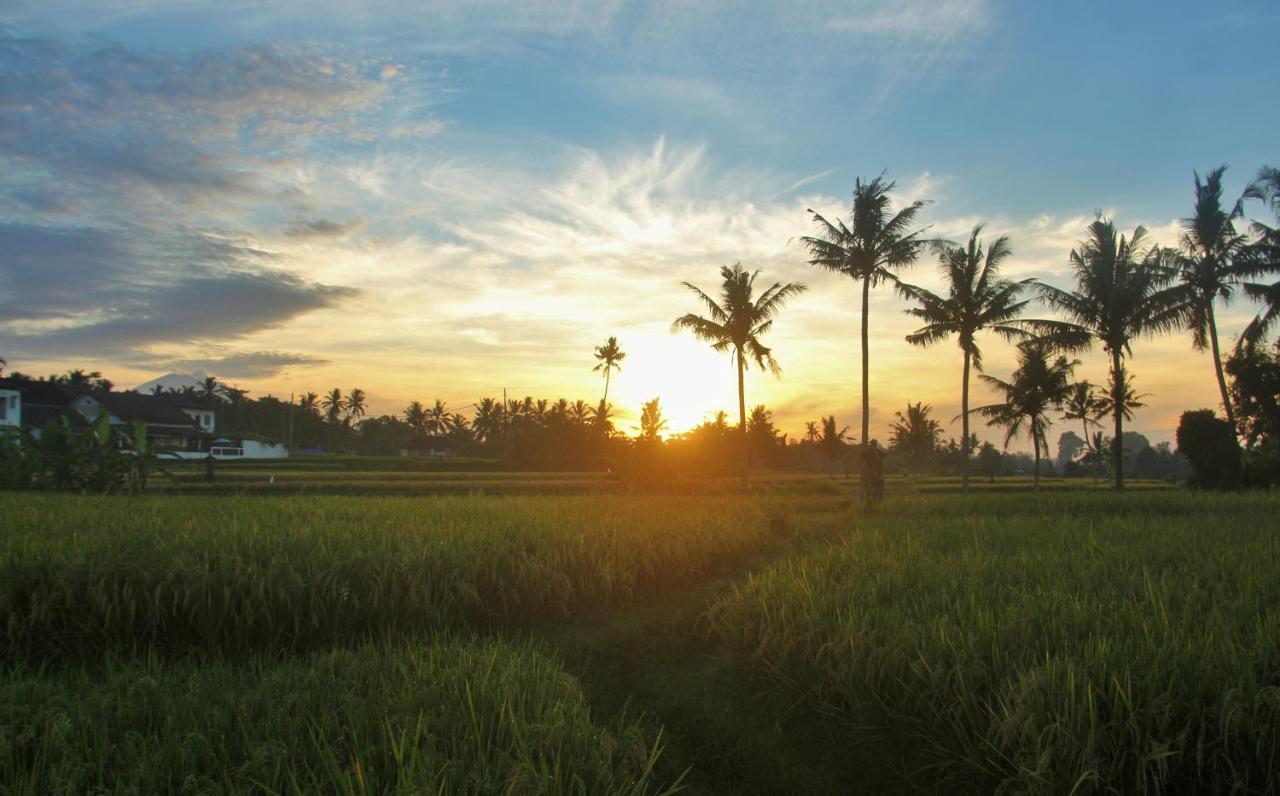 Griya Private Villa Ubud Esterno foto